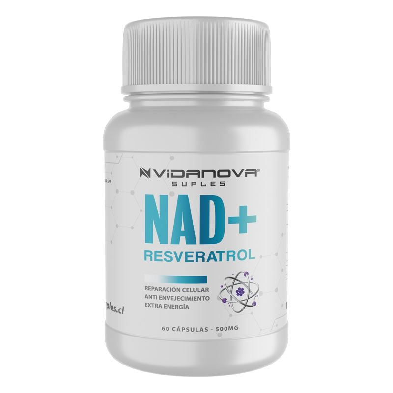 NAD energía celular, Ashwagandha calma, Candida equilibrio digestivo