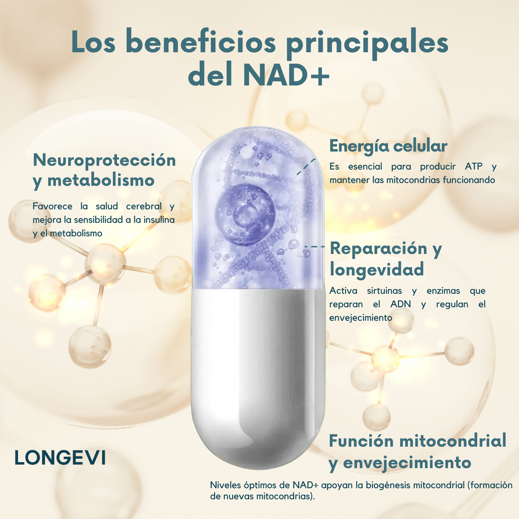 NAD+ Resveratrol 1000 mg – 60 Cápsulas VIDANOVA