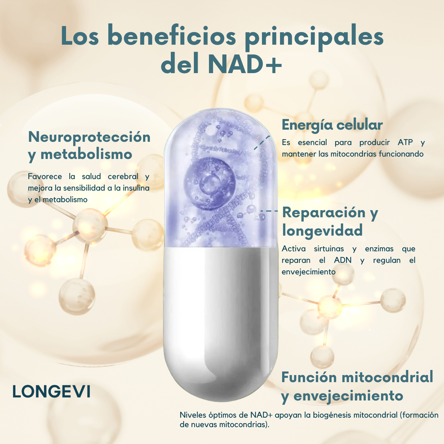 NAD+ Resveratrol 1000 mg – 60 Cápsulas VIDANOVA