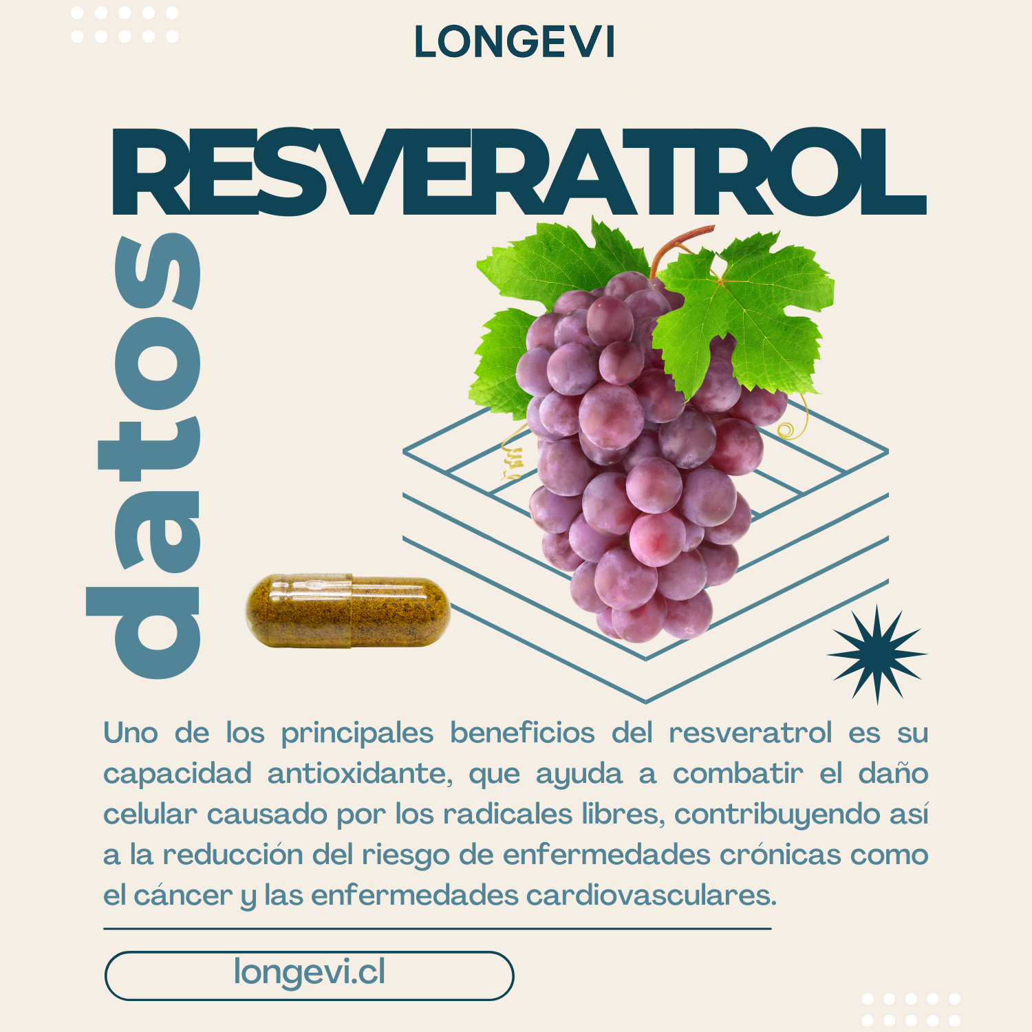 NAD+ Resveratrol 1000 mg – 60 Cápsulas VIDANOVA