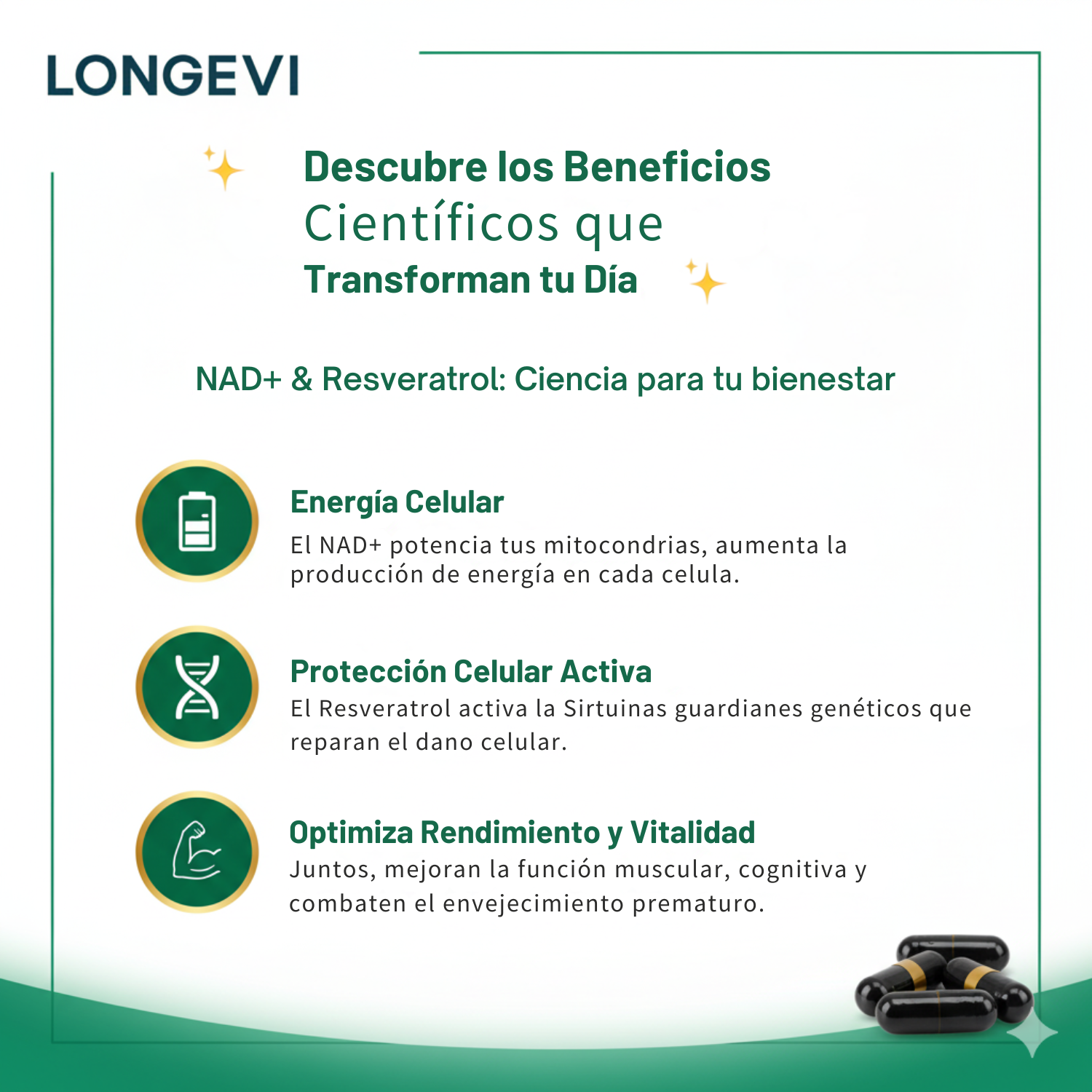 Suplemento antioxidante con NAD+ y Resveratrol