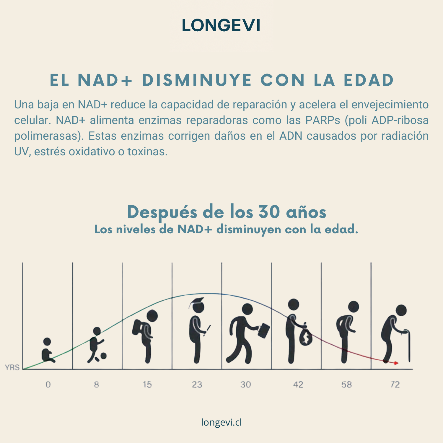 Energía celular y defensa antioxidante en cápsulas