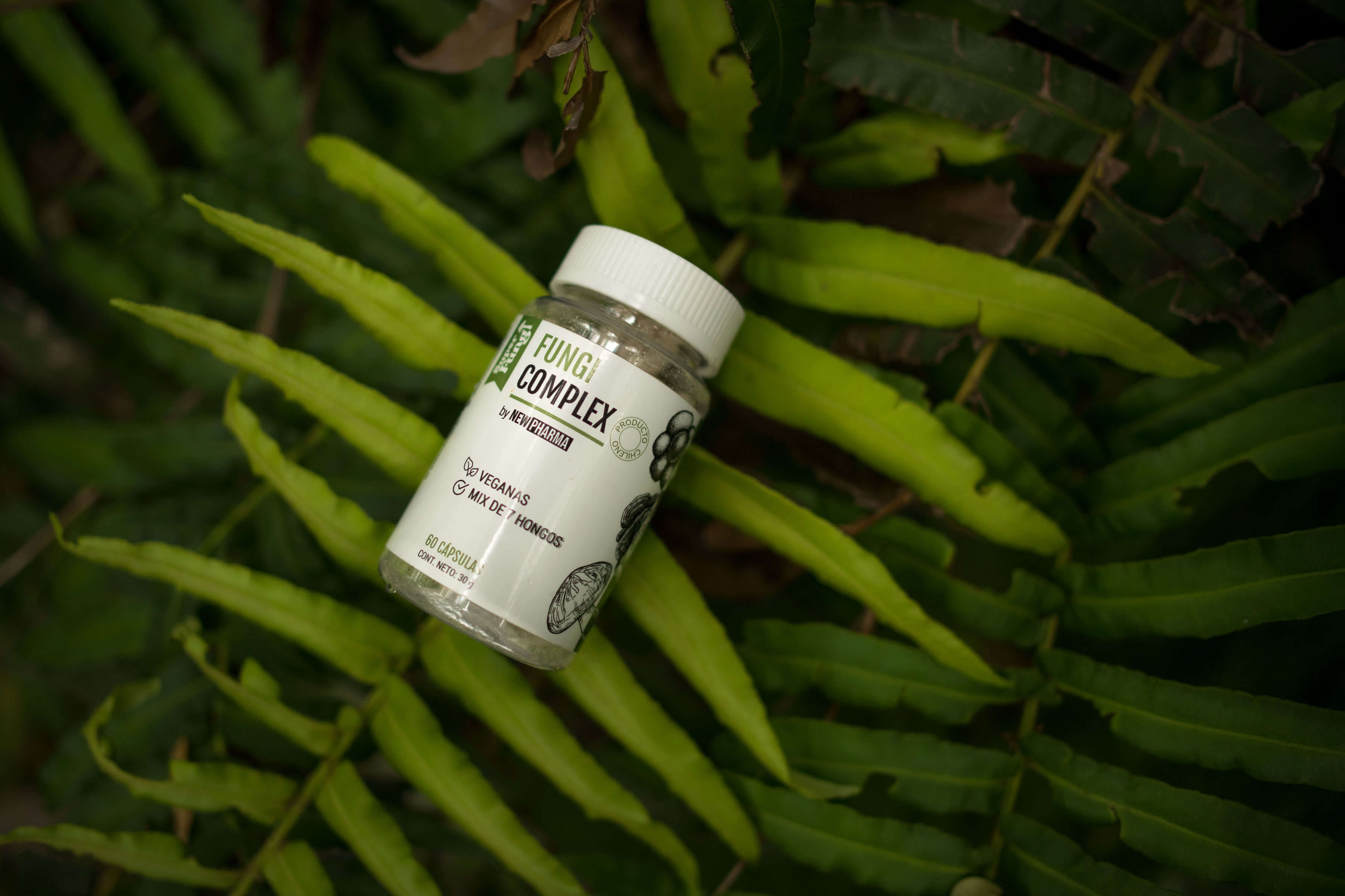 Suplemento Fungi Complex para energía e inmunidad